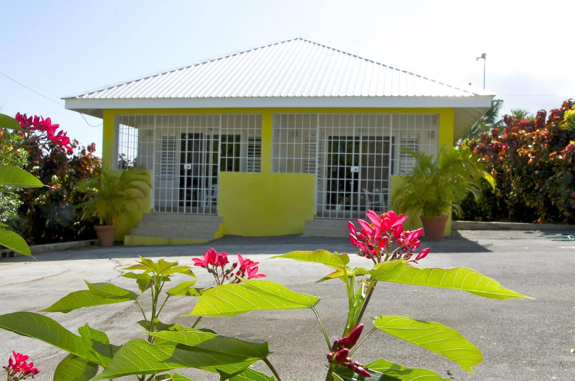 Adulo Apartments Bridgetown Extérieur photo